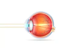globo ocular
